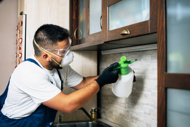 Best Pest Prevention Services  in New Wilmington, PA