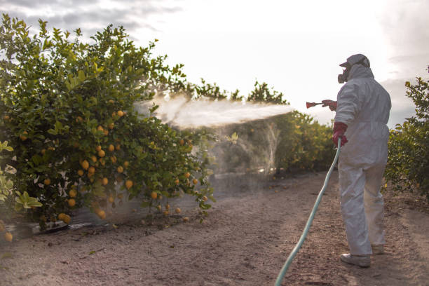 Best Local Pest Control Services  in New Wilmington, PA