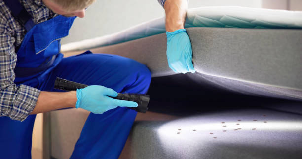 Best Affordable Pest Control Services  in New Wilmington, PA