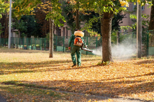 Best Insect Control  in New Wilmington, PA